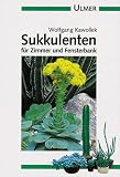 Sukkulenten f�r Zimmer und Fensterbank