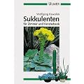 Sukkulenten f�r Zimmer und Fensterbank