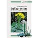 Sukkulenten f�r Zimmer und Fensterbank