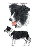 Border Collie - Double Image by Cindy Farmer