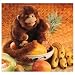 Folkmanis 2123 - Affe