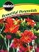 Book Beautiful Perennials: Simple Techniques to Make Your Garden Sensational (Miracle Gro)