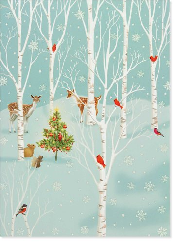 Enchanted Glade Large Boxed Holiday Cards (Christmas Cards, Holiday Cards, Greeting Cards)