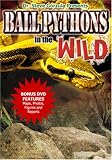 Ball Pythons in the Wild