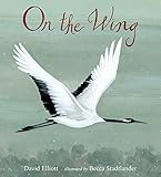 On the wing