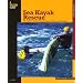 Sea Kayak Rescue, 2nd: The Definitive Guide to Modern Reentry and Recovery Techniques (How to Paddle Series)