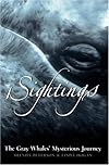 Sightings : The Gray Whales' Mysterious Journey (Adventure Press)