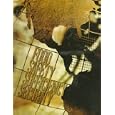 Food Safety, Sufficiency, and Security (Special Publication (Council for Agricultural Science and Technology), No. 21.) by Council for Agricultural Science & Techn