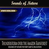 Thunderstorm over the Amazon Rainforest