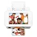 Epson PictureMate Show Digital Frame and Photo Printer (C11CA54203)