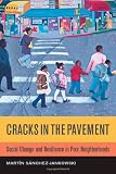 Cracks in the Pavement: Social Change and Resilience in Poor Neighborhoods
