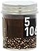 See Smell Taste Grains Of Paradise Whole, 1.3-Ounce Jar