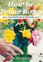How To Prune Roses "Real Men Prune Roses Bare Handed"