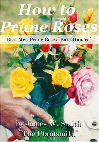 How To Prune Roses 