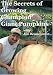 Search : The Secrets of Growing Champion Giant Pumpkins