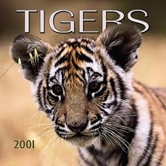 Tigers Calendar: 2001