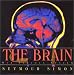 The Brain: Our Nervous System