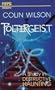 Poltergeist (Fate Presents)
