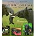 Sociobiology: The New Synthesis