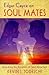 Edgar Cayce on Soul Matters: Unlocking the Dynamics of Soul Attraction