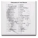 Phrenology Art Tile