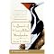 Extinct (or Possibly Extinct) Birds