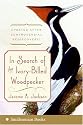 In Search of the Ivory-Billed Woodpecker