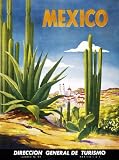 Mexico Desert Cactus Vintage Travel Poster Advertising Print