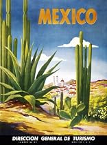 Mexico Desert Cactus Vintage Travel Poster Advertising Print