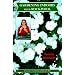 Gardening Indoors with Rockwool