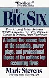 Big Six: Why Americans Can't Trust the Nation's Top Accounting Firms