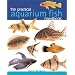 The Practical Aquarium Fish Handbook