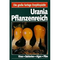 Urania Pflanzenreich, Viren, Bakterien, Algen, Pilze: Bd. 1
