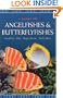 A Guide to Angelfishes and Butterflyfishes