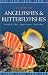 Books : A Guide to Angelfishes and Butterflyfishes