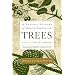 Trees, Deforestation and Sustainability