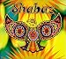 Shabaz