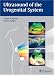 Book Ultrasound Of The Urogenital System