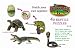 4-D Reptile Puzzle, (Pack of 4)