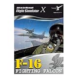 F-16 Fighting Falcon Flight Simulator