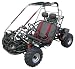 Baja Motorsports BR150 Baja Reaction 150 Go-Kart (Black/Red)