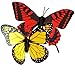 HQRP Pair of Solar Powered Flying Fluttering Butterflies Yellow Monarch and Red Swallowtail for Garden Plants Flowers plus HQRP UV Chain/UV Health Meter
