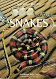 Snakes (Nature Watch)