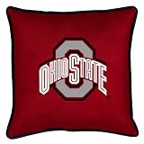 Review Sports Coverage  / Ohio State Buckeyes Sidelines Throw Pillow