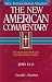 Books : New American Commentary: John 12-21 (New American Commentary)