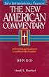 New American Commentary: John 12-21 (New American Commentary)