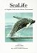 Sealife: A Complete Guide to the Marine Environment