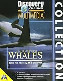 Discovery Channel Whales
