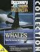 Software : Discovery Channel Whales