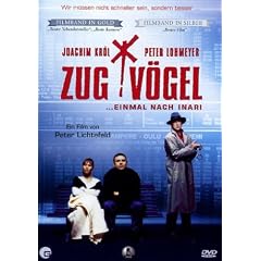 Zugv�gel... einmal nach Inari